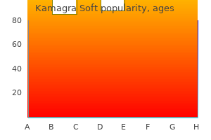 generic 100mg kamagra soft free shipping